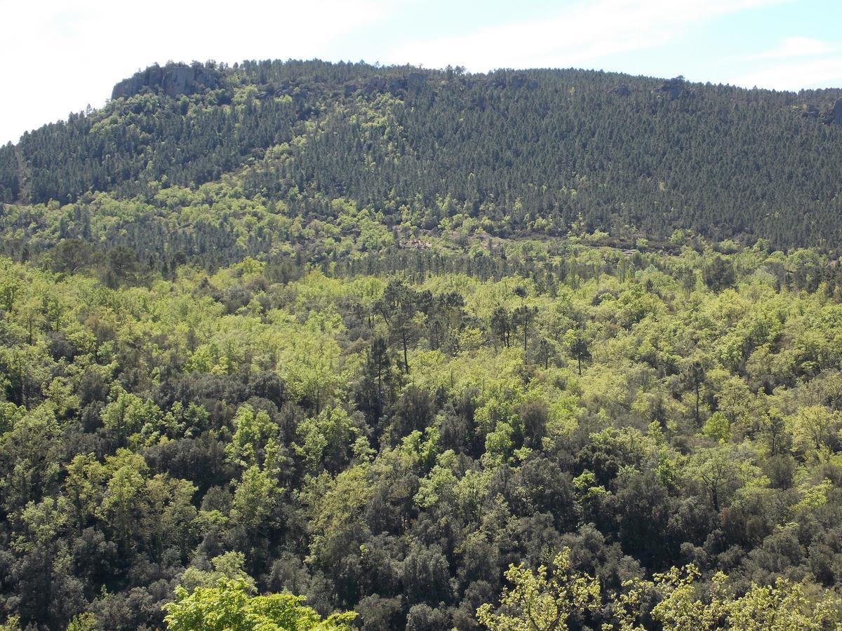 Hotel Au Relais Provencal Bagnols-en-Foret